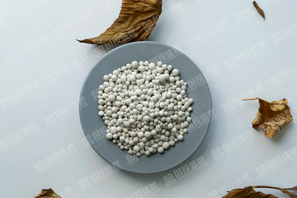 沸石未來10年將實(shí)現(xiàn)5%的正復(fù)合年增長(zhǎng)率