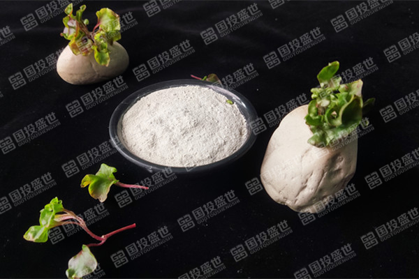 目前沸石飼料添加劑價(jià)格是多少？