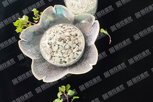 沸石在人工濕地生態(tài)系統(tǒng)中的應用