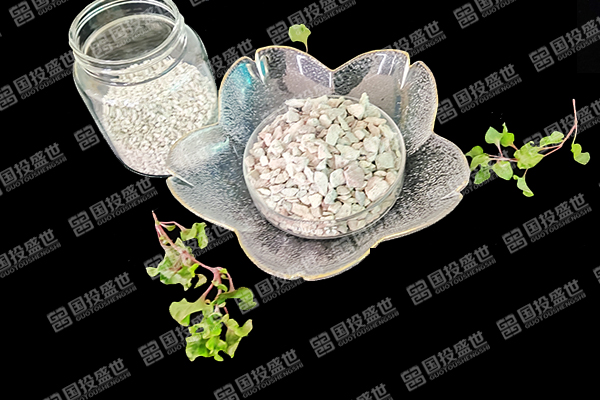 是否可能借助沸石對小龍蝦進行養殖管理？-國投盛世