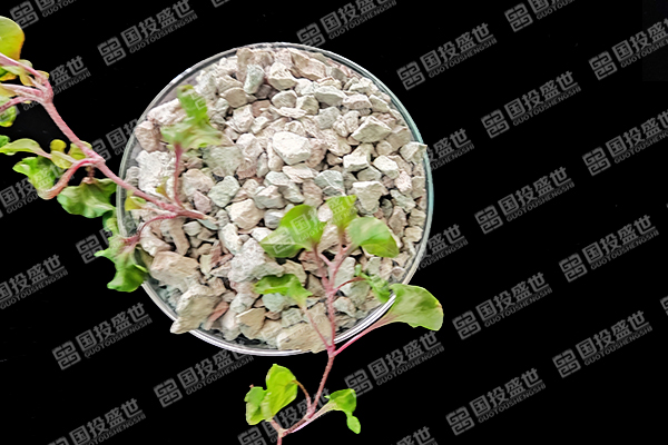 沸石能否成為綠色農業轉型的有力推手？