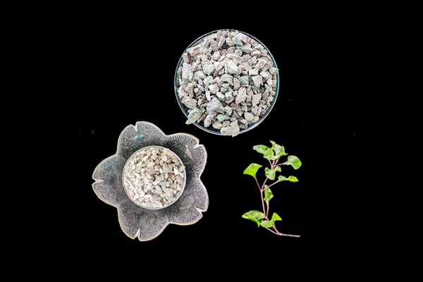 種植蓮藕時加入沸石能提高產量嗎？-國投盛世