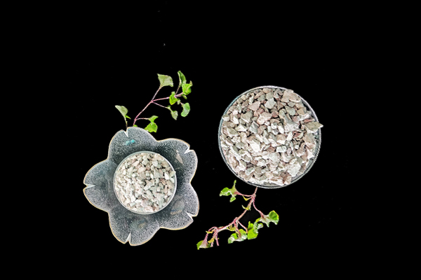 沸石能為扁豆種植帶來哪些改變？-國投盛世