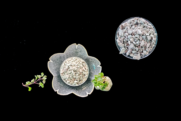 種植生菜時使用天然沸石能增產(chǎn)嗎？-國投盛世